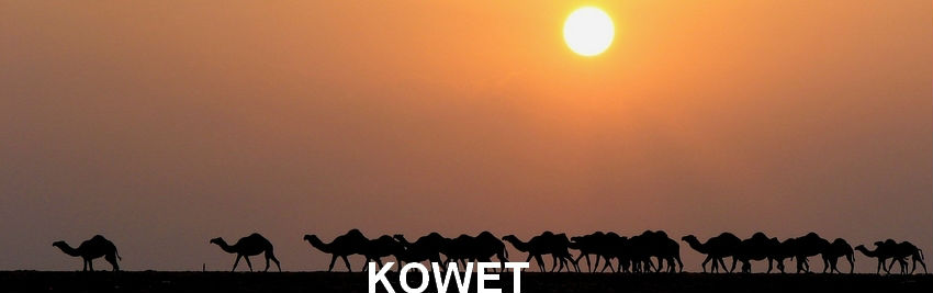 KOWET en-tête