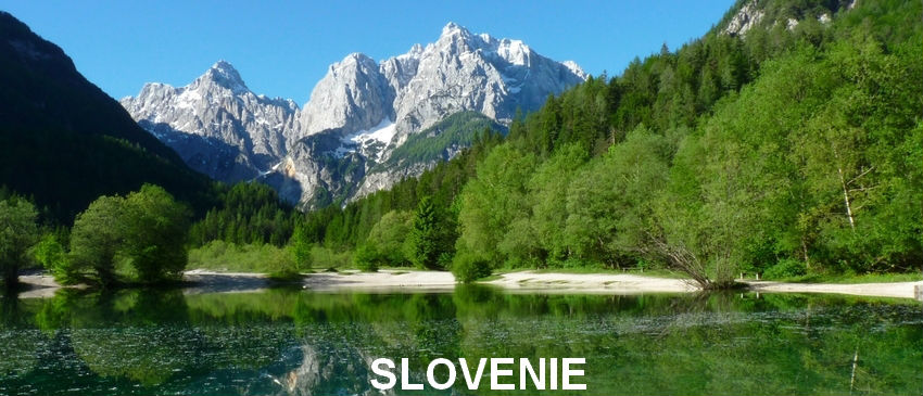 SLOVNE en-tête