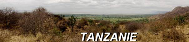 Billets de banque de la Tanzanie